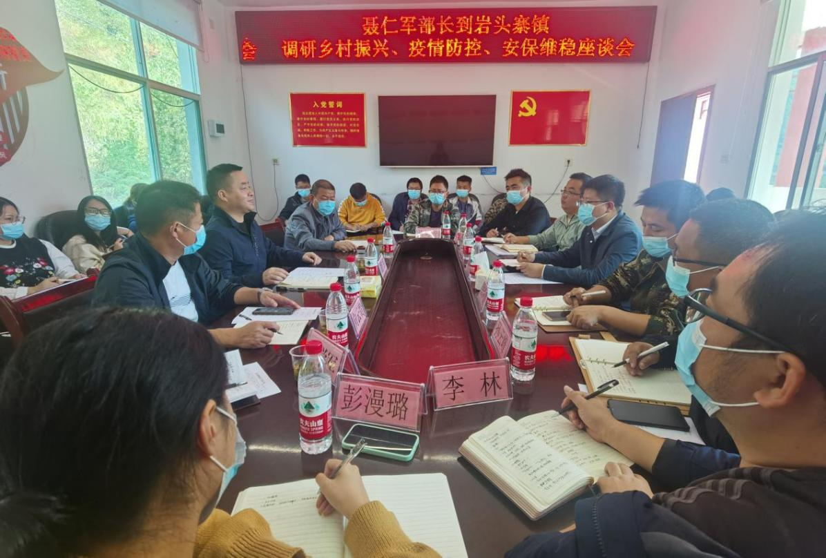 聂仁军深入岩头寨镇调研指导当前重点工作